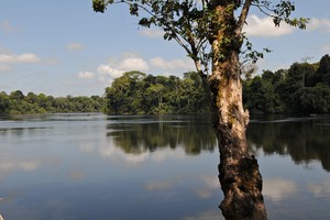 TRANSFERENCIAS ECOLÓGICAS PARA ALIVIAR LOS COSTOS DE LA CONSERVACIÓN