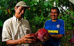 San Martín: el cacao que salvó a un pueblo y a un área protegida del narcotráfico