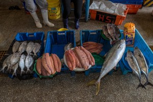 Fraude y problemas medioambientales por sustitución de especies marinas en restaurantes y mercados