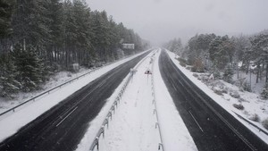 Una migrante privilegiada bajo la nieve