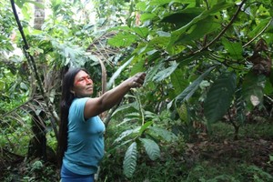 Así protegen los pueblos indígenas a la naturaleza