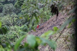 Deforestación se dispara y avanza sobre los bosques del Bahuaja Sonene