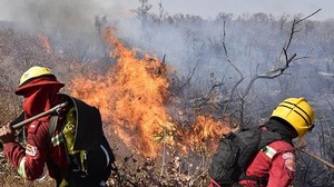 La antesala ecológica a la crisis política en Bolivia: incendios en la Chiquitanía