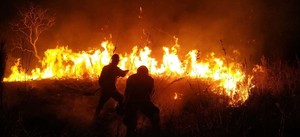 Bolivia: más de un millón de hectáreas se han perdido por incendios forestales