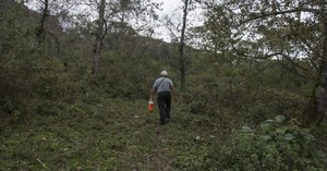 Gasoducto Tuxpan-Tula: comunidades otomíes denuncian que afectará la biodiversidad en la sierra de Puebla