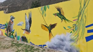 Cusco interviene sus calles con murales que destacan su cultura y retratan el poder de lo colectivo