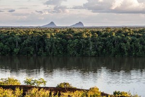 REDD Indígena Amazónico: ¿una nueva fórmula para conservar los bosques en Colombia?