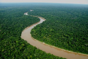 ¿Por qué está tomando tanto tiempo la creación del Parque Nacional Yaguas?