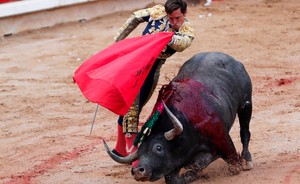 La tauromaquia: Crónica de una muerte anunciada