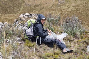 Narel Paniagua-Zambrana y su búsqueda del conocimiento tradicional a través de las plantas