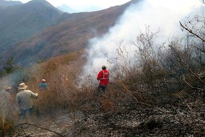 Incendios e invasiones están acabando con los bosques secos de Lambayeque