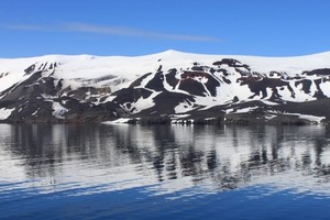 Especie marina potencialmente invasora amenaza la riqueza natural de la Antártida