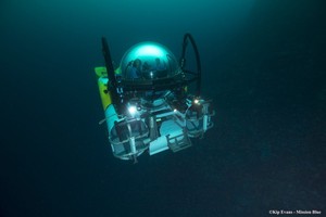 Galápagos: descubren nuevas especies en las profundidades abismales del mar