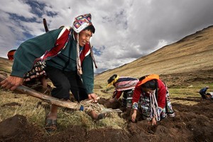 BNP proyectará “Hatun Phaqcha”, documental sobre la riqueza de los alimentos nativos del Perú