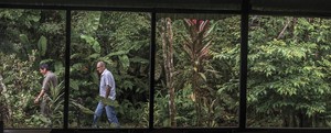 Un paso adelante: mecanismos de protección para los defensores y defensoras del ambiente