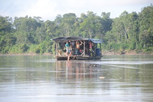 Los 10 reportajes ambientales más leídos del Perú en 2019