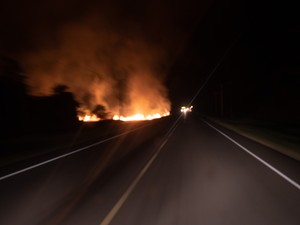 ¿Qué debería hacer el Perú para efectivamente prevenir, responder y recuperarse de los incendios forestales en el mediano-largo plazo?