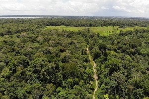 Perú: nuevas vías atraviesan territorios indígenas y desatan deforestación