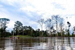 Tres apuestas en Latinoamérica para mejorar gestión en áreas naturales protegidas