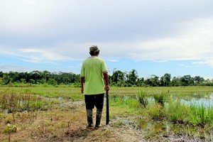 “En dos días vas a desaparecer”: la historia oculta de los defensores ambientales en la selva de Perú