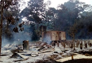 Tráfico de tierras estaría detrás de la destrucción de centro de investigación en Ucayali