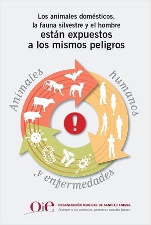 Una sola salud: La interdependencia de la salud humana y la sanidad animal