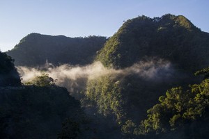 ¿Qué está pasando con la gestión del Área de Conservación Regional Cordillera Escalera?