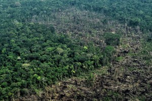 Colombia: Parque Nacional Chiribiquete ha perdido 2200 hectáreas en menos de un año