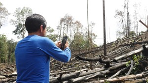 Guardianes del bosque frenan la deforestación con nuevas tecnologías